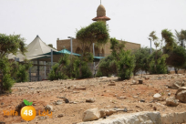 المشهراوي يكشف "دائرة أراضي اسرائيل قررت تخصيص قطعة أرض للمواطنين العرب في حي الجبلية"